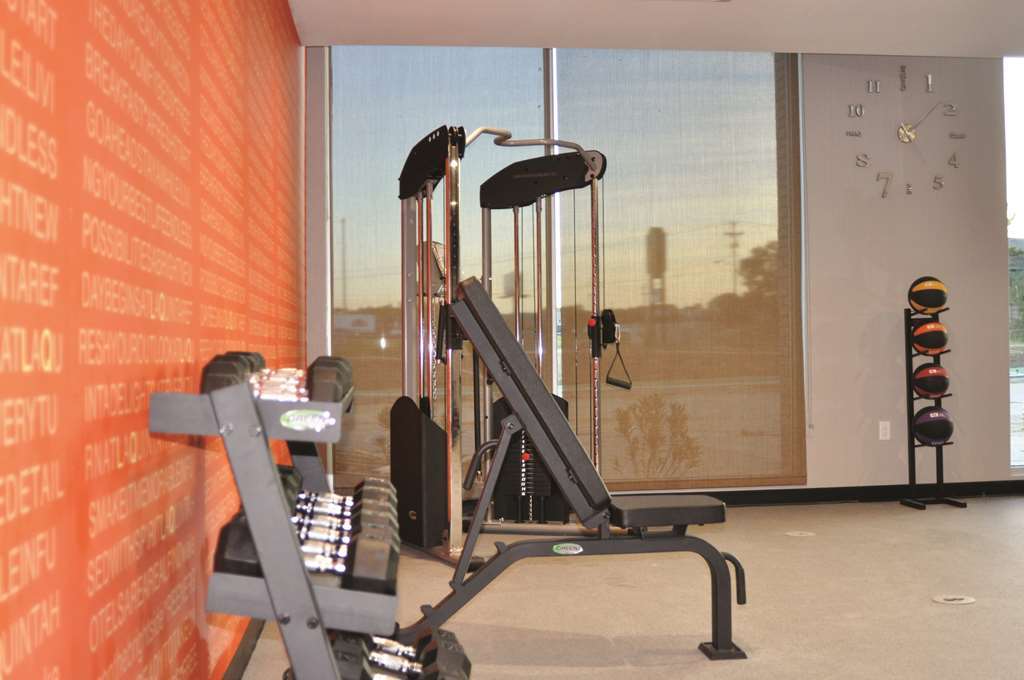 La Quinta By Wyndham Dallas Grand Prairie North מתקנים תמונה
